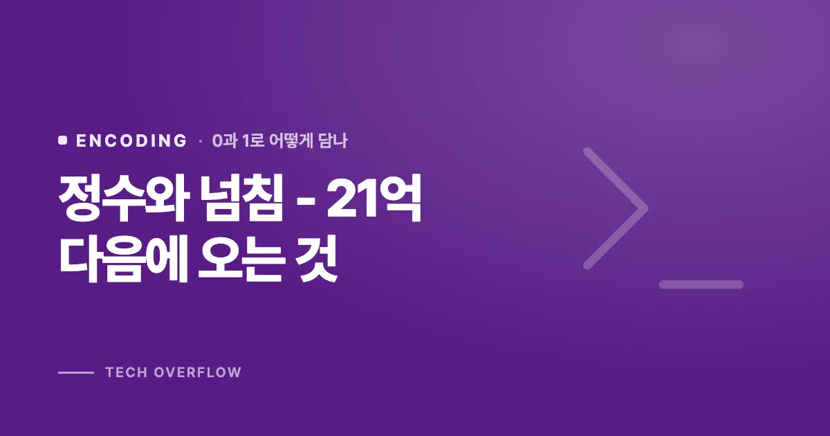 정수와 넘침 - 21억 다음에 오는 것