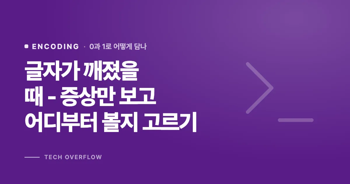 글자가 깨졌을 때 - 증상만 보고 어디부터 볼지 고르기